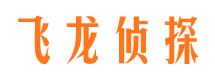 金城江侦探公司